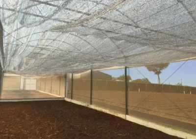 Climatización de invernaderos agrícolas