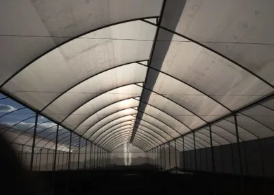 Invernadero cenital