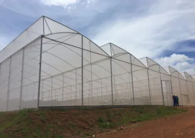 Invernadero modelo Sierra