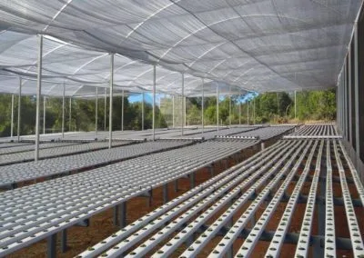 Proyectos hidropónicos